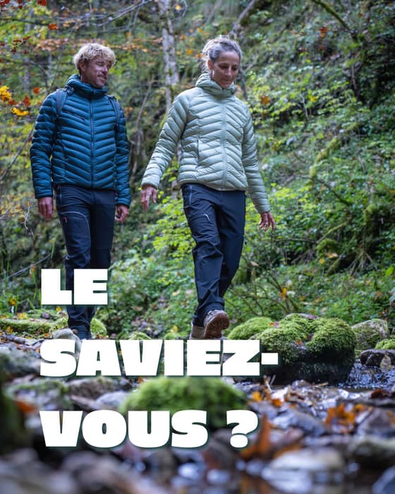 Le saviez-vous ? ✨

Le site Lhoste évolue et vous permet désormais d’acheter vos produits préférés directement en ligne !
👉 Rendez-vous via le lien en bio pour découvrir la boutique. 

Et ce n’est que le début… restez connectés, de belles nouveautés arrivent très bientôt 👀