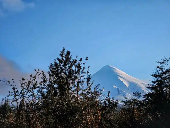 🇨🇱Chile ski trip pt.3
Con il meteo non siamo stati troppo fortunati nella prima settimana, vento, pioggia e nuvole ci fanno compagnia e iniziamo a macinare km in auto in direzione Sud. Tra visite all'oceano, paesi dispersi nel nulla e cibi "saporiti" trascorriamo alcuni giorni in attesa del bel tempo. Finalmente poi il sole appare e ci illumina il Volcan Osorno, che spunta 2000 m sopra di noi con la classica forma vulcanica stile cartolina, uno spettacolo. 
Sotto di noi il lago Llanquihue, giusto giusto 40 km di diametro, pianura a perdita d'occhio e vista in lontananza della catena andina e dei vulcani più a nord. La giornata che tanto aspettavamo è arrivata e da sola ci fa capire che venire in Cile ne è già valsa la pena!
Spazi infiniti e bella neve vellutata ci fanno venire l'acquolina in bocca salendo (ah il vento non mancava neanche lì stranamente...). Stiamo già pensando alla discesa da sogno che sarebbe arrivata dopo poco, quando proprio toccando la vetta veniamo avvolti da un nebbione e di colpo siamo nel bianco totale. SCIamo, o meglio perdiamo quota, seguendo a testa bassa la traccia Gpx sull'orologio, perché oltre alle punte degli sci c'era solo un mondo BIANCO. 
Niente, si prende quello che viene e alla fine salire l'Osorno è stato comunque fighissimo. Speriamo in un po' di fortuna nei prossimi vulcani, ritornando pian piano verso Nord.
...continua nei prossimi post

@k2.skis @mountainequipment @sfida2.0