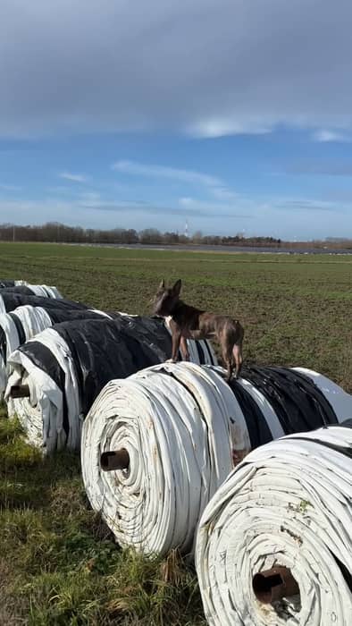 Jumping into the new week 🐰