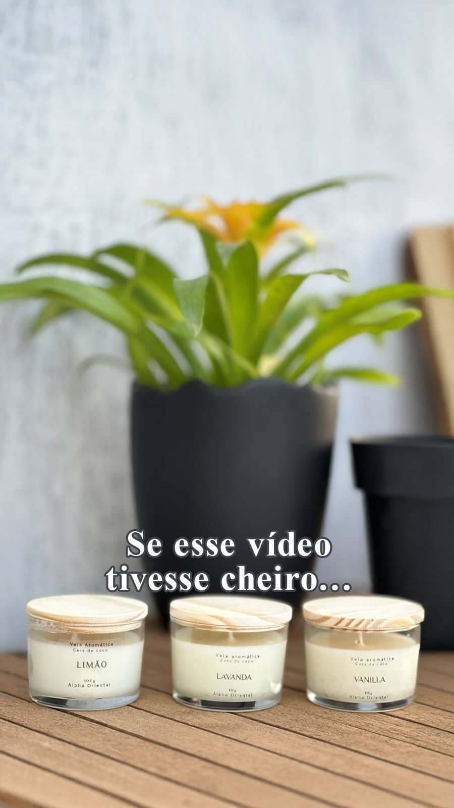 Eu amo uma casa perfumada com velas 🥹

Me pede que eu mando o link 👇