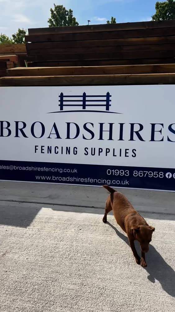 It’s been a cloudy week at our yard here at Broadshires Fencing Supplies, Carterton. 📍We’ve been busy with deliveries, picking orders and of course helping customers with their projects. 🪚🪵#broadshiresfencing #fencingsupplies #fencing #ukfencing #oxfordshirebusiness #gardenfence #fencingoxfordshire #gardenidea #gardenideas #closeboardfencing #fencepanels