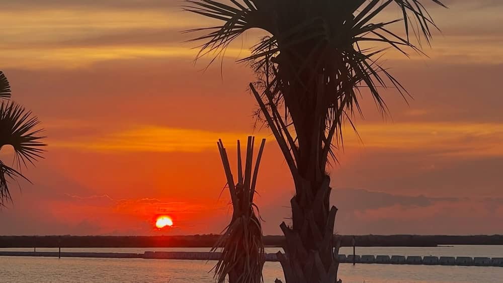 Before the World Woke Up