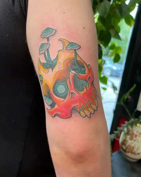 Some of my flash, thanks dev! 
Books open
,send me a message