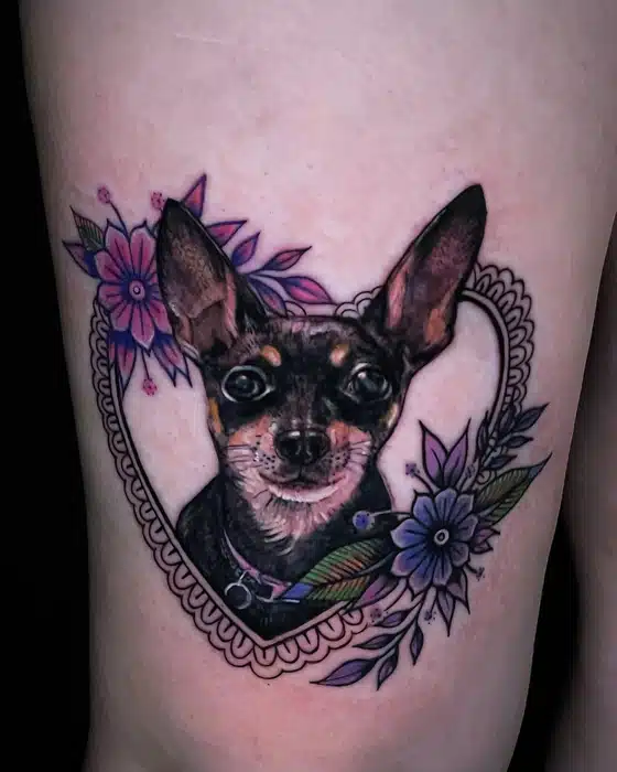 Memorial of a beloved Chihuahua💕🌸🐾