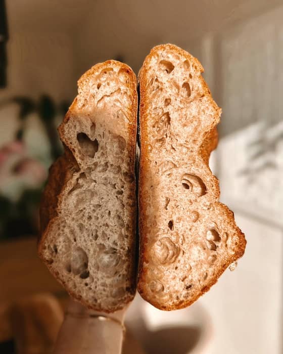 Brot lebt – und das sieht man auch! ✨

Was ihr hier seht, ist der Querschnitt eines unserer handgemachten Brote. 

Die unregelmäßige Porung – also die vielen kleinen und großen Luftbläschen – ist kein Zufall, sondern ein Zeichen für eine lange Teigführung und natürliche Gärung.

🕒 Je länger der Teig ruhen darf, desto mehr Geschmack entwickelt sich – und genau das schmeckt man bei jedem Bissen.
.
.
.
#bäckerhandwerk #bäckermeister #brotliebe #brotzeit #koblenz #neuwied #westerwald #mayen #frischesbrot