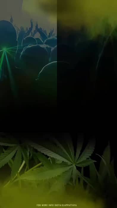 SATURDAY PARTY🚀

INDIE TECHNO GROOVES
One night.
Two sounds.
One space.

9PM–11PM
DJ aandreewnna (Indie Dance) —
dark indie dance mood with a smooth transition into techno.
Music about atmosphere, movement, and freedom.
A rhythm that doesn’t ask — it makes you move.

11PM–1AM
DJ Bina G (Techno) —
dense, deep, hypnotic.
Music about rhythm and state of mind.
No extra words. No distractions.
Just you and the pulse.

• Free roll at the entrance.
• Free ice cream.
• Activities, gifts and prizes.
• All drinks – 99 THB 👀

Let the groove lead 🤙🏼