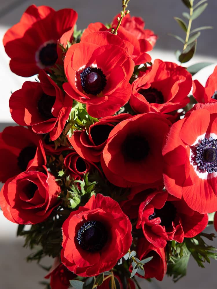 Tomber en amour pour ces merveilles…
La Saint-Valentin approche ❤️‍🔥
Derniers jours pour commander 