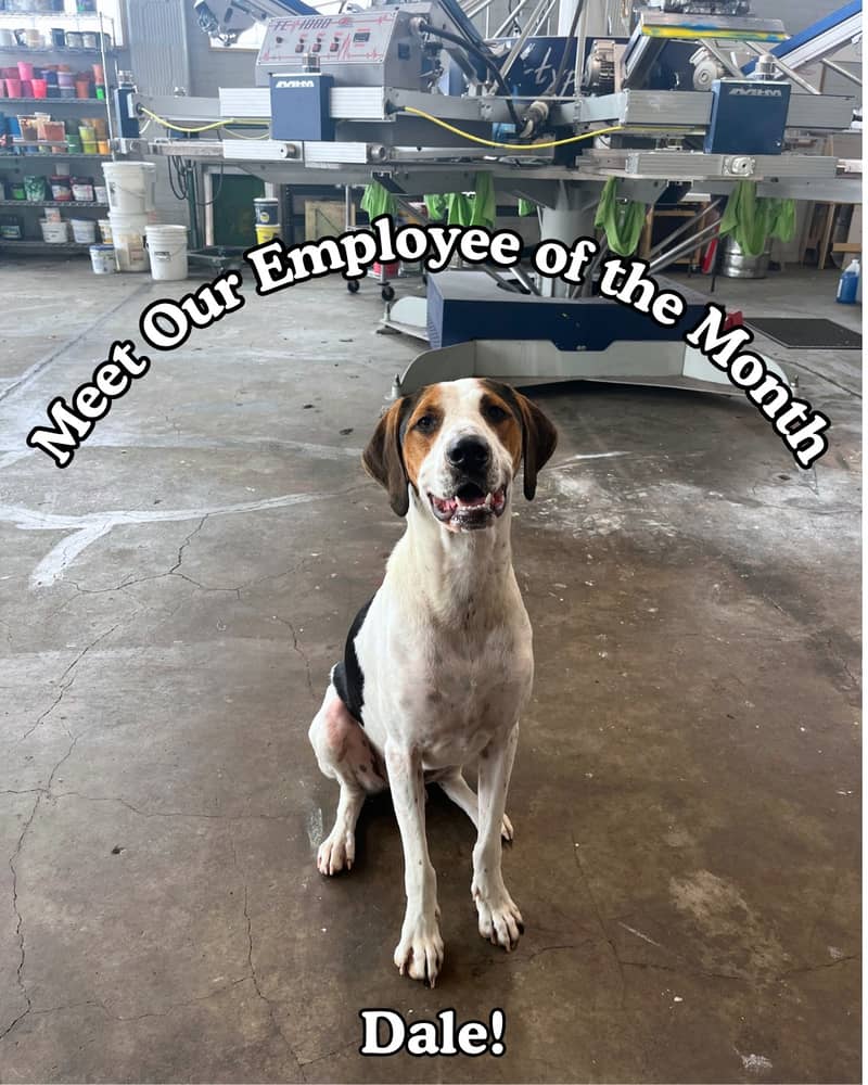 Meet Dale! Our mascot, quality assurance specialist and empl