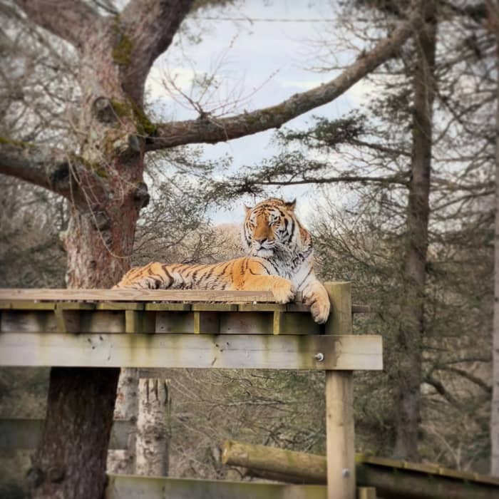 Latest Instagram photo