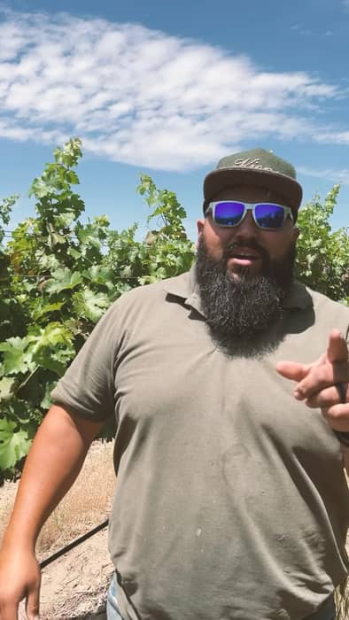 Having wine trust issues?Quality wine starts with a quality vineyard. 🍇2025 is our 50th year growing wine grapes on Red Mountain. More than 60 of the top wineries in the  trust us with their grape growing, which means you should too.