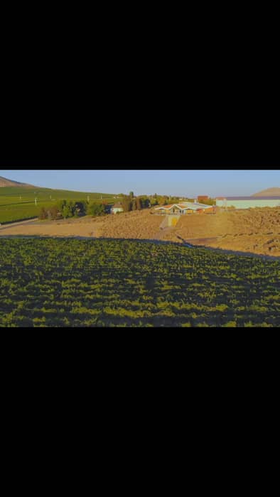 Farm and Family for 50 Years 🥂