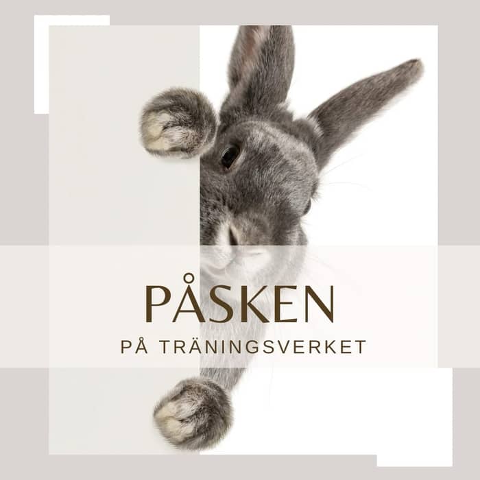 Påsken närmar sig på Träningsverket! 🐣

Med påsken runt hörnet har vi lite avvikande öppettider och ett något annorlunda gruppträningsschema – men självklart är vi laddade med massor av träningsglädje! 💪

⏰ Öppettider under påsken:
• Skärtorsdag: 09:00–18:00 (vi stänger 2h tidigare, men klasserna hålls som vanligt) 
• Långfredag: Endast nyckelgym
• Lördag: 10:00–14:00
• Söndag: Endast nyckelgym (som vanligt)
• Måndag/Påskannandag: 10:00–14:00

Gruppträningsschemat hittar du i detta inlägg, med bl.a några specialare: 

🔸90 minuter BODYCOMBAT - äntligen! 🔥
🔸Cycling i 30, 60 eller 90 minuter 💨
🔸CirkelFys med gästinstruktören Mikaela!💥
🔸HYROX med påskharen 🐰

Och vem vet… påskharen kanske har gömt några ägg i gymmet? 👀🥚

Oavsett om du vill köra ett svettigt pass, hitta lugnet i kroppen eller bara komma in och röra på dig en stund, så finns vi här för dig.

Vi ser fram emot att få fira en aktiv och härlig påsk tillsammans med er🐰
Varmt välkommen in – precis som du är!! 💛