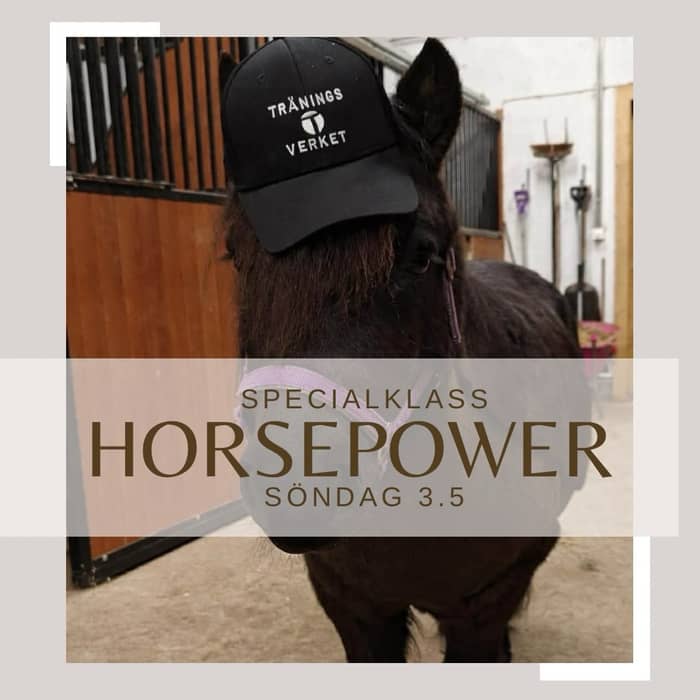 Efter förra årets skämt från Mysan – och den stora efterfrågan som följde – är det äntligen dags att göra det på riktigt: HORSEPOWER med Mysan!💥
Det som började som ett skämt blir alltså verklighet i år…

Världskrattdagen i repris väntar 😉

En klass för er som vet att lagom är tråkigt. Här handlar det om att plocka fram alla hästkrafter du har, för här jobbar vi med puls och rå styrka i varje moment! 🐎

Håll utkik, mer info kommer inom kort!
#horsepower #tottepåträningsverket