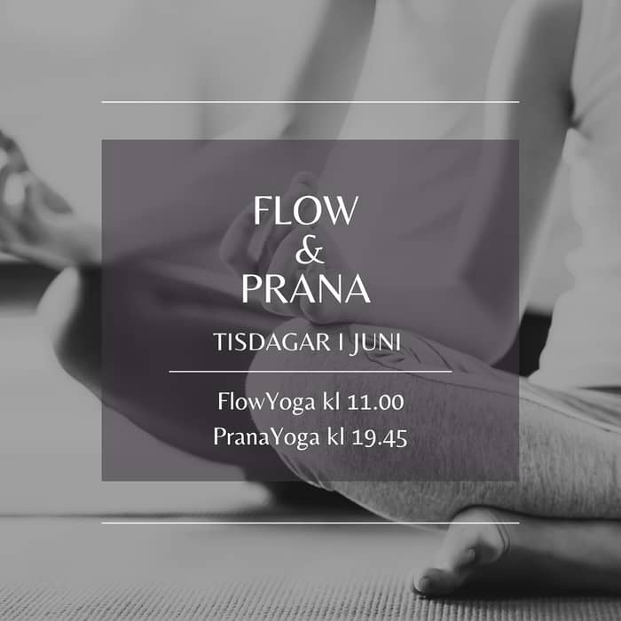 🧘‍♀️ JUNIERBJUDANDE! 🧘‍♂️

Testa tisdagens yoga för bara 5€ per klass – hela juni månad!

🌿 Oavsett om du är nybörjare eller van yogi är detta ett perfekt tillfälle att ge dig själv en stunds lugn, styrka och närvaro. 

Flowyoga tisdagar kl 11.00 - En fysisk yogaklass där vi kombinerar mjuka rörelser med mera utmanande positioner. 

Pranayoga tisdagar kl 19.45 - Det här är egentid där du får släppa stress, press och spänningar.

📍 Observera att detta erbjudande gäller endast tisdagens yoga, hela juni månad 🤍

Vi ses 🪻