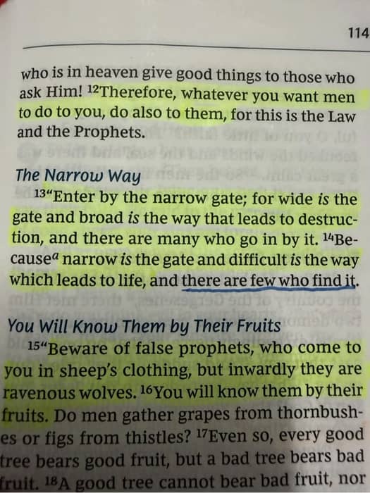this verse hits hard every time I see it: “ Enter by the narrow gate, for wide is the gate and broad is the way that lea