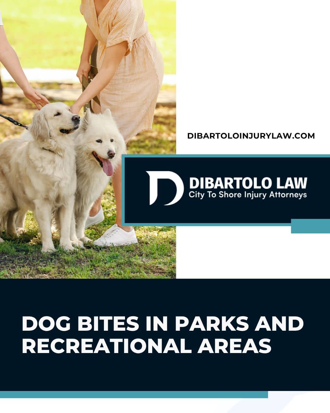 Dog attacks don’t just happen on private property. Many serious dog bite injuries occur in public places where people reasonably expect to be safe, such as parks, beaches, sidewalks, and recreational areas. When a dog bites someone in a public setting, the physical injuries can be severe, and legal issues can become complex. At DiBartolo Law, our personal injury lawyer represents dog bite victims throughout New Jersey, Pennsylvania, and Washington, DC and help them understand their rights after an attack in a public place.

Learn more: https://www.dibartoloinjurylaw.com/dog-bites-in-public-places/