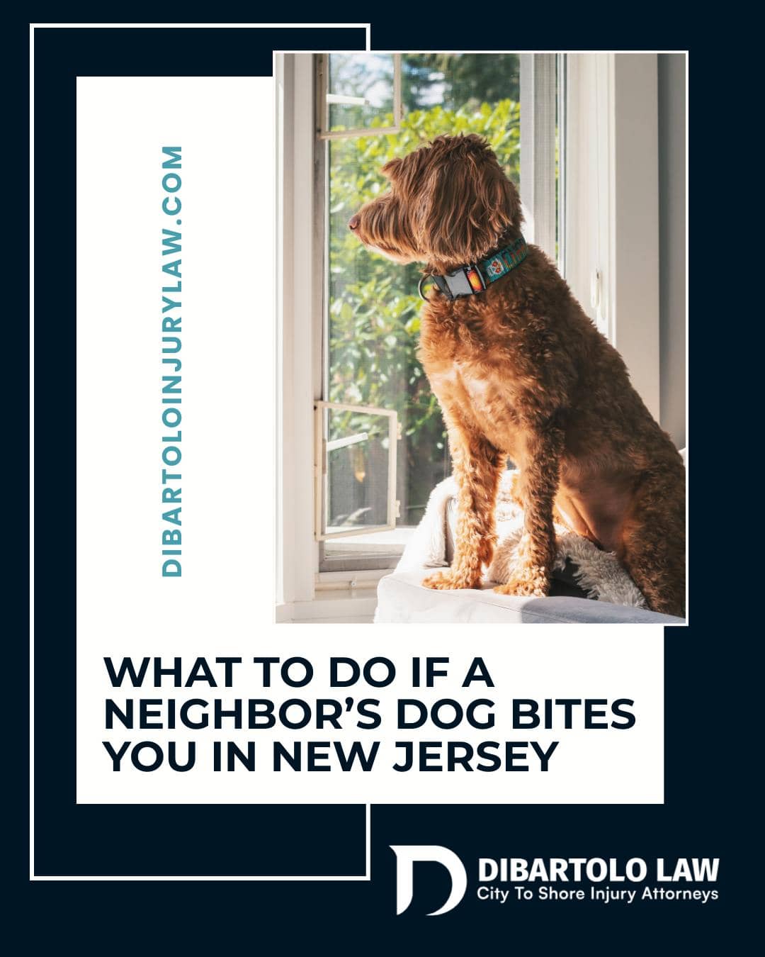 When a dog bite involves someone close to you, it’s natural to worry about how taking action might affect that relationship. Many people hesitate because they want to keep the peace with a neighbor or friend. In reality, it’s often possible to address the situation calmly and respectfully while still standing up for yourself. Taking a measured approach, keeping communication respectful, and allowing legal professionals to handle the process can help reduce tension and prevent unnecessary conflict.

At DiBartolo Law, we understand how delicate these situations can be. Our team helps clients navigate difficult or awkward circumstances with professionalism and care, handling the legal process so you don’t have to manage uncomfortable conversations on your own. By guiding the process thoughtfully, we work to keep the focus on resolving the issue while maintaining respect between everyone involved.

If you’ve been bitten by a neighbor’s dog, you don’t have to handle the situation alone. DiBartolo Law is here to guide you through the process and help you move forward with confidence.

Learn more: https://www.dibartoloinjurylaw.com/blog/after-neighbors-dog-bite-new-jersey/