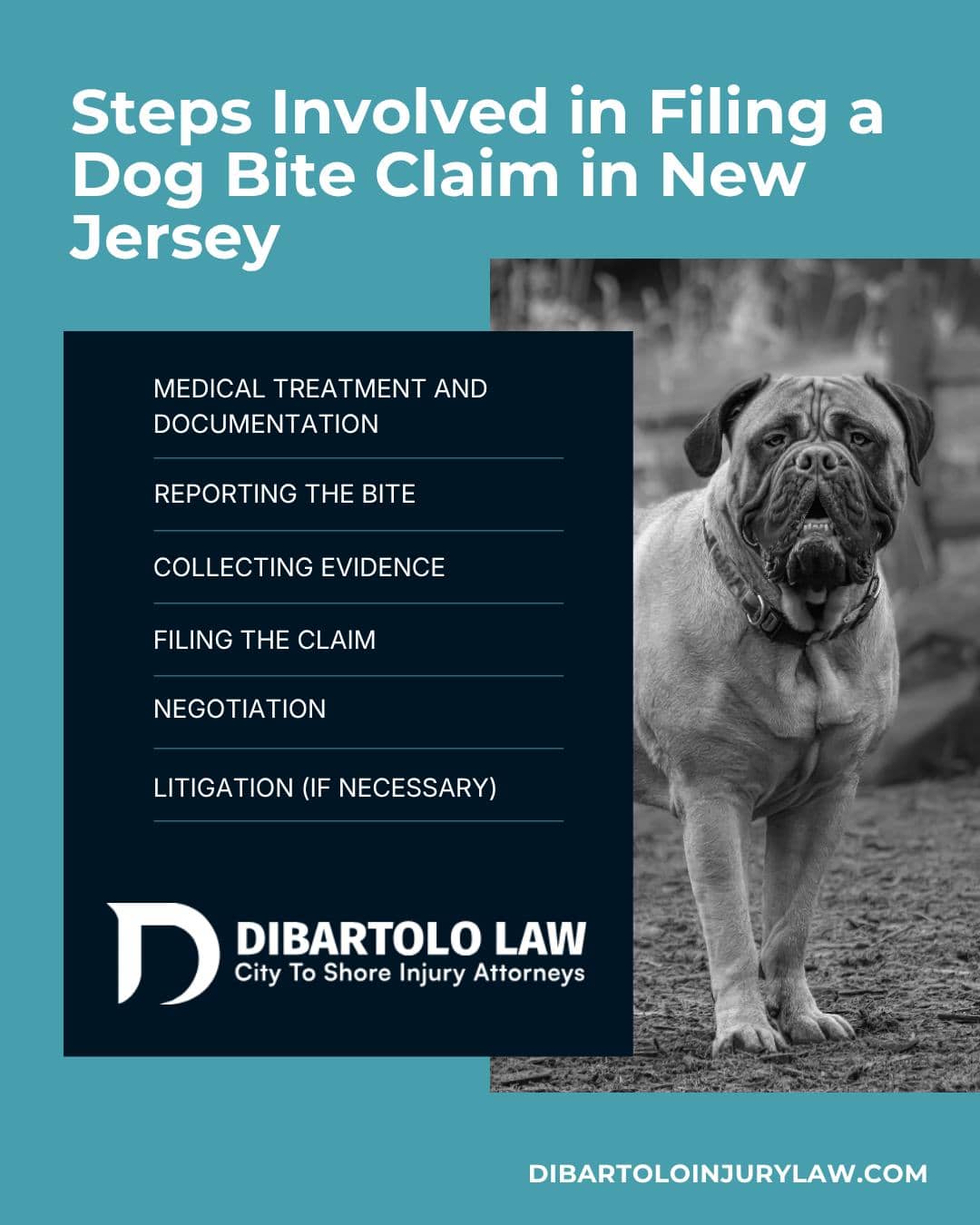 A dog bite can be a frightening and overwhelming experience. Beyond the immediate pain and medical care, many victims are left unsure of how to pursue justice or recover the costs associated with their injuries. At DiBartolo Law, we guide victims through each step of the dog bite injury claims process in New Jersey, ensuring their rights are protected and their voices are heard.

Learn more: https://www.dibartoloinjurylaw.com/practice-areas/new-jersey-dog-bite-claims-process/