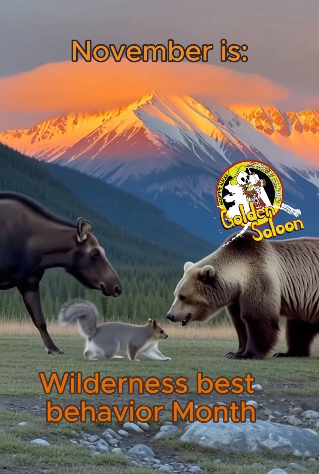 McCarthy Lodge Resort