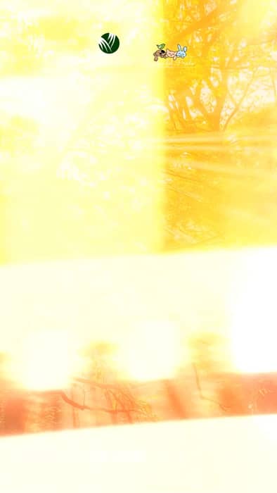 No es volver a empezar, es volver a vivir distinto.

La vida siempre encuentra c