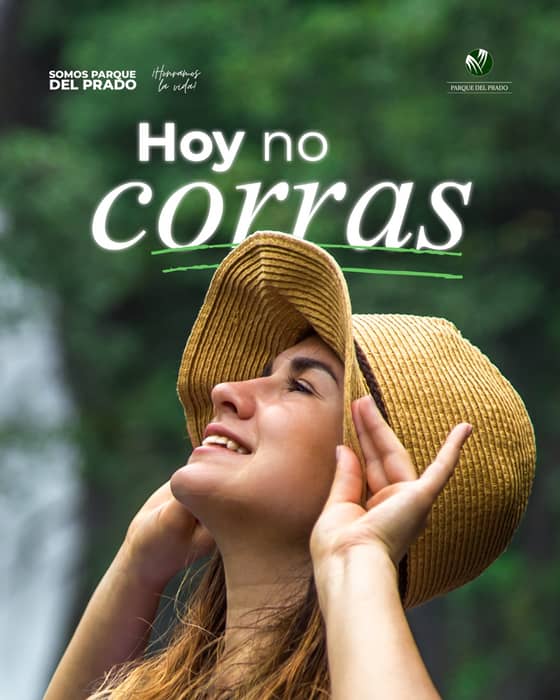 No todo necesita resolverse ahora.

Permítete sentir sin prisa, habitar el sile