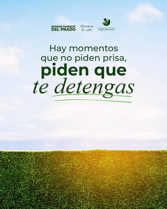 Hay pausas que no se explican, se sienten.

Porque en medio del silencio es dond