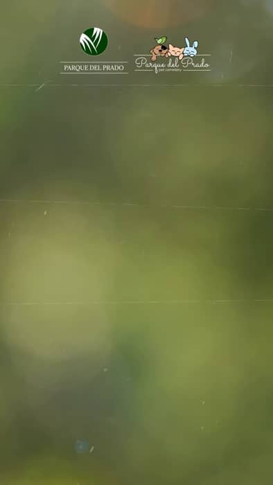 A veces, ser fuerte no es aguantarlo todo.

También es llorar, pedir apoyo, hab