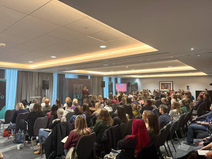 This is the part no one sees:

Last year I struggled to introduce myself in a gr