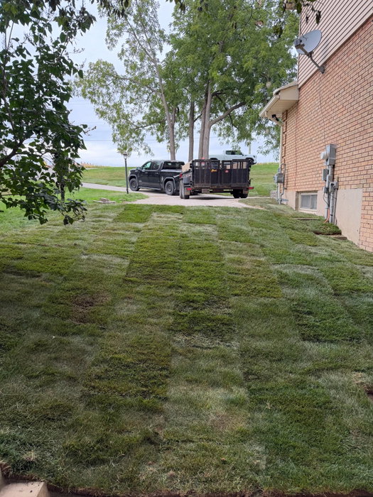Here are the before and afters from another lawn restoration…