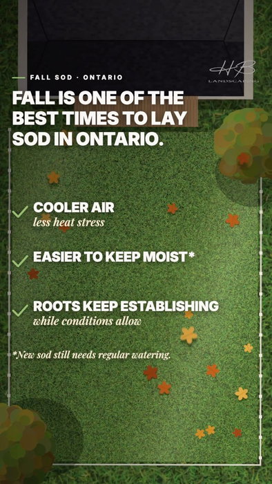 Fall doesn’t mean the end of sod season.