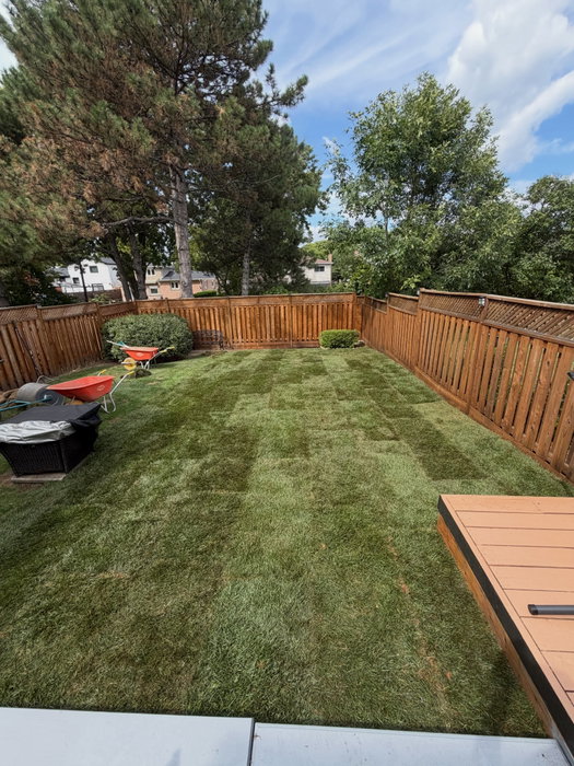 Here are the before and afters from a 560 SQFT lawn restorati…