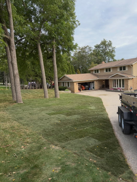 Here are the before and afters from a front lawn restoration…
