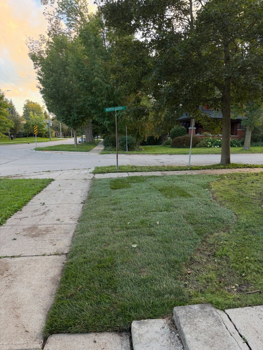 Here are the before and afters from a garden bed cleanout and…