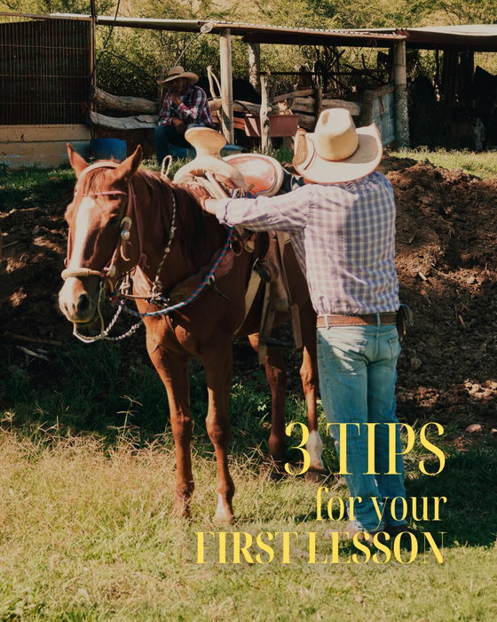 Never ridden before? Here are 3 tips for your first lesson. The most important one: take it slow. Our horses are gentle 