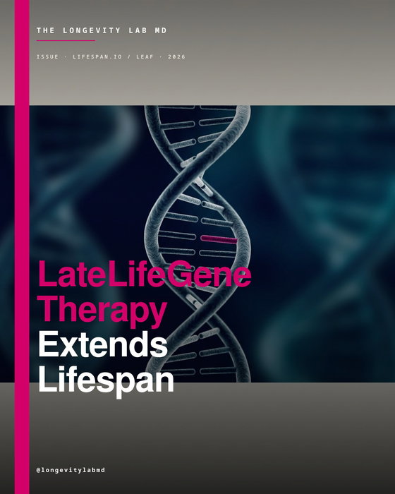 Treating the body later in life may still offer significant gains in longevity.

According to reporting from Lifespan.io, researchers have successfully used gene therapy to boost the median lifespan of male mice by 20…