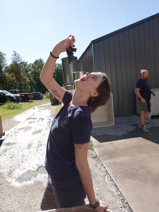 With harvest season slowly winding down, enjoy this behind-the-scenes photo dump taken with our digital camera! 📷✨ Forever cherishing these days in production with our team and community members! ❤️