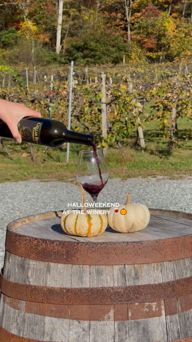 Our Rare Beasts are making an appearance, exclusively on Halloweekend 🤫 Come out for a guided tasting of 4 of our rarest Cellar Beast bottles, available for purchase Oct 30-Nov 1 only! 🍷 📍Andreas & Jim Thorpe
