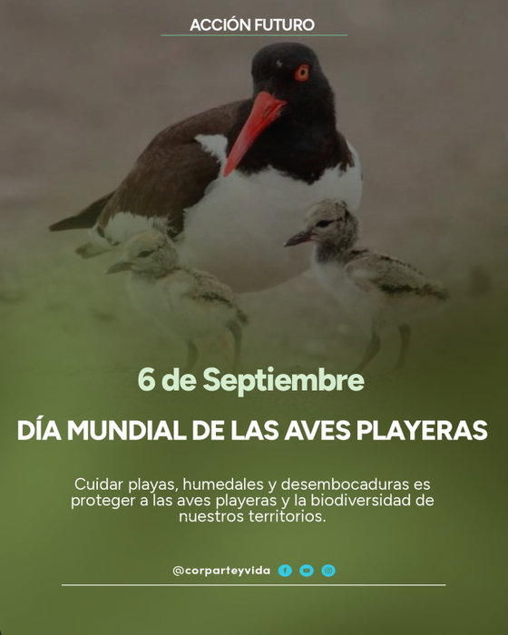Publicacion de corparteyvida