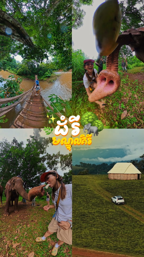 Taking the 4x4 deep into the highlands and ending up nose-to-nose with a giant! 🤳🐘 Best core memory unlocked in Mondulkiri. 🚙🌿✨
📍 @mondulkiriproject
🏠 @isan_mondulkiri