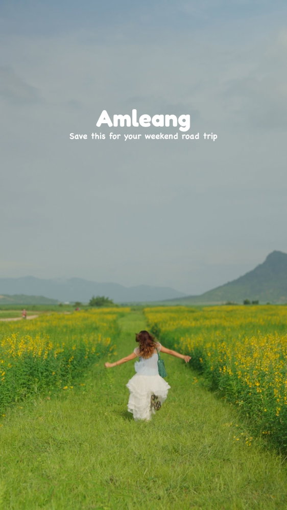 Yellow Flower Field in Amleang! 🌼✨
