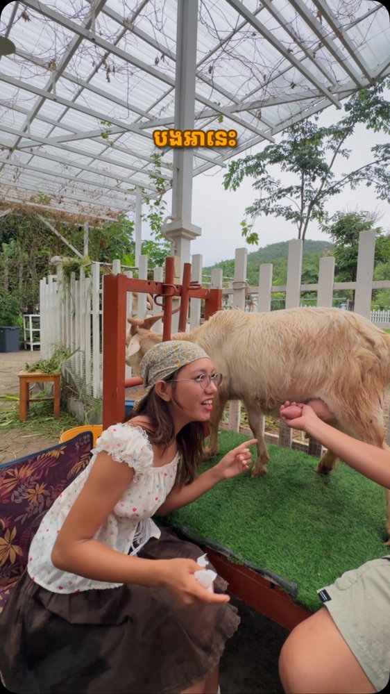 From watching pigs take on the water slide to meeting the friendly sheep and tasting fresh goat’s milk, this place is pure farm-life joy. Perfect spot to slow down and reconnect with nature. 🌾🐖🐑
📍 Keat Farm