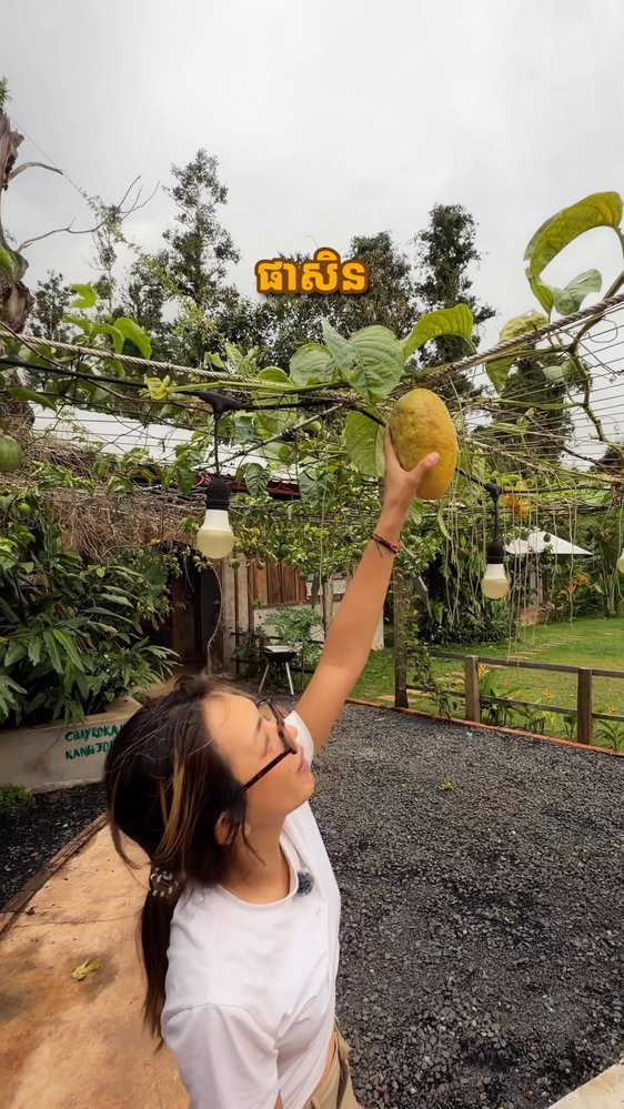 Have you ever seen a passion fruit this big?! 🤯 Found this absolute giant at @soam_stay Homestay in Osoam, Veal Veng! 📍
Save this for your next adventure to Pursat, Cambodia! 🇰🇭✨