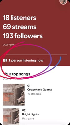 This makes me so happy when I see people listening to my music in real time. Thank you one person!!