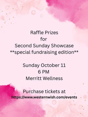 Come over Sunday for a chance to win some really cool prizes. 100% of your proceeds are donated to Sense of Security 
Ou