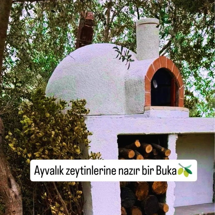 🫒 Ayvalık zeytin diyarına merhaba diyoruz.

❇️ Aşkın Eker @askneker bahçe mutfa