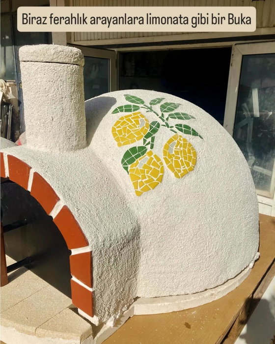 🍀 Bukalarımız yan yana dizildiler. Farklı Bukaları bir arada görmek bize iyi ge