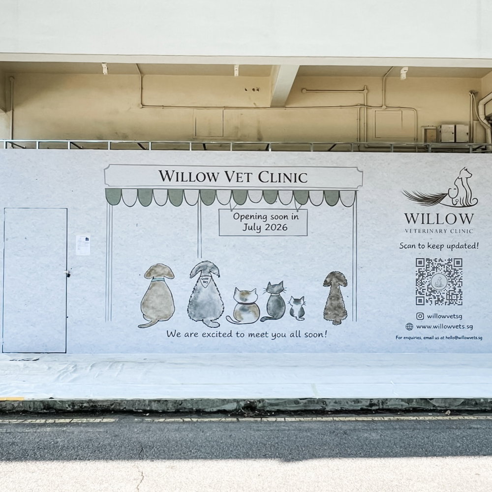Renovation’s coming along well and underway 👷‍♀️👷🏼‍♂️ We’re excited to have our hoarding up now with some clinic details ✨

One step closer to opening day!

Easties 👋🏼 if you happen to be walking by with your pet, take a photo of them alongside the illustrated pets and tag us - we look forward to seeing your creative iterations! 📷🖼️