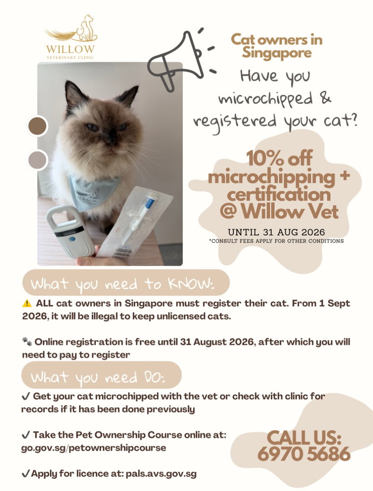 📣 Have you gotten your cat microchipped and registered?

🫆10% off microchipping for the whole month of August 2026

📞 Call us at 6970 5686 or DM us to find out more!