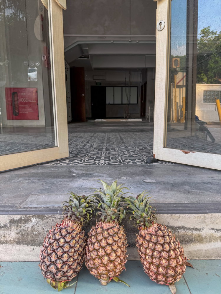 Today we made it OFFICIAL! 🍍🍍🍍

May this be a space for healing, blessings, and comfort.

We can’t wait for it to be filled with the pitter-patter of soft paws 🐾