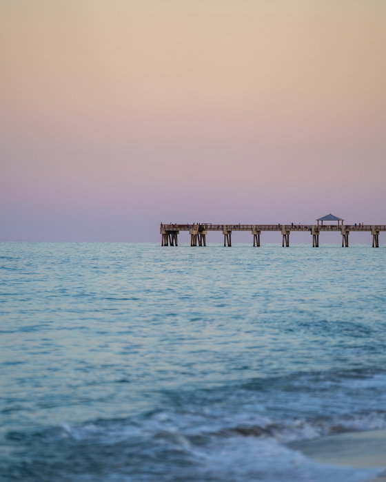 Juno Beach color palette 🌺✨🌊